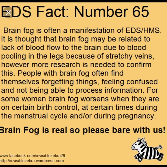 🦓 I am a Zebra 🦓 - Picture 8 of 8